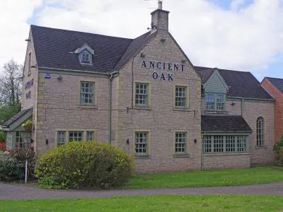 The Ancient Oak