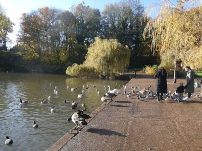 Mote Park