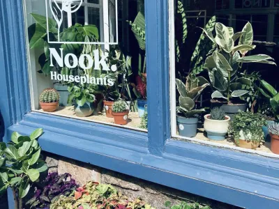 Nook Houseplants