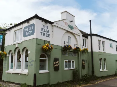 The Elm Tree
